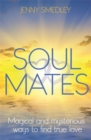 Image for Soul Mates