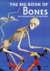 Image for The big book of bones  : an introduction to skeletons