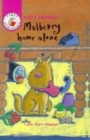 Image for Mulberry Home Alone