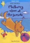 Image for Mulberry alone at the seaside