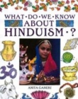 Image for What do we know about Hinduism?
