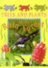 Image for Trees and Plants In The Rain Forest
