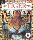 Image for Natural World Tiger