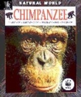 Image for Natural World Chimpanzee