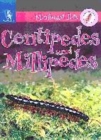 Image for Centipedes and millipedes
