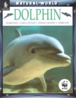 Image for Dolphins  : habitats, life cycles, food chains, threats