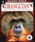 Image for Orangutan  : habitats, life cycles, food chains, threats