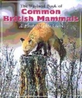 Image for Common British Mammals