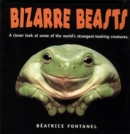Image for Bizarre Beasts