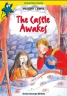 Image for The castle awakes