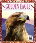 Image for Golden eagle  : habitats, life cycles, food chains, threats