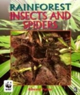 Image for Insects and Spiders