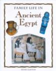 Image for Family life in ancient Egypt