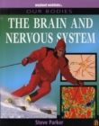 Image for The brain and nervous system