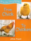 Image for How do they grow? From Chick to Chicken
