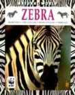Image for Zebra  : habitats, life cycles, food chains, threats