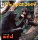 Image for In The Wild: Chimpanzees