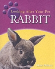 Image for Looking after Your Pet: Rabbit
