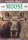 Image for Moose  : habitats, life cycles, food chains, threats