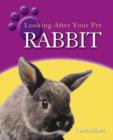 Image for Looking After Your Pet: Rabbit