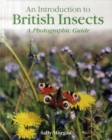 Image for British Insects