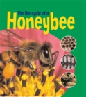 Image for The life cycle of a honey bee
