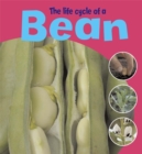 Image for The life cycle of a bean