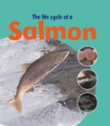 Image for The life cycle of a salmon
