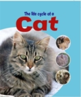 Image for Learning About Life Cycles: The Life Cycle of A Cat
