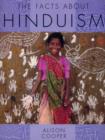 Image for The Facts About Religions: The Facts About Hinduism (DT)