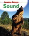 Image for Amazing Science: Sound