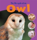 Image for The life cycle of an owl