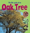 Image for The life cycle of an oak tree