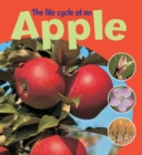 Image for The life cycle of an apple