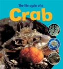 Image for Learning About Life Cycles: The Life Cycle of a Crab