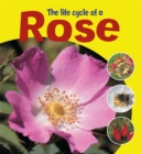 Image for The life cycle of a rose