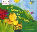Image for Little Bees: From Sunrise to Sunset