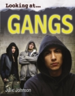 Image for Looking At: Gangs