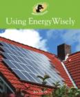 Image for Environment Detective Investigates: Using Energy Wisely