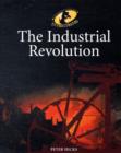 Image for The History Detective Investigates: The Industrial Revolution