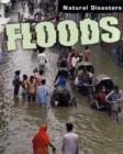 Image for Natural Disasters: Floods