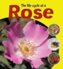 Image for The life cycle of a rose
