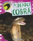 Image for A deadly cobra