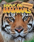 Image for Classification: Focus on: Mammals
