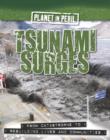Image for Tsunami surges : 3