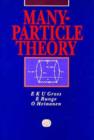 Image for Many-particle Theory