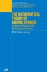 Image for The mathematical theory of cosmic strings  : cosmic strings in the wire approximation