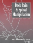 Image for Back pain and spinal manipulation  : a practical guide