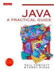 Image for Java programming  : a practical guide