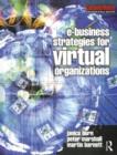 Image for e-Business Strategies for Virtual Organizations